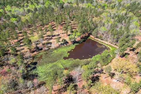 6355 Cobbham Rd, Appling, GA 30802 photo 7