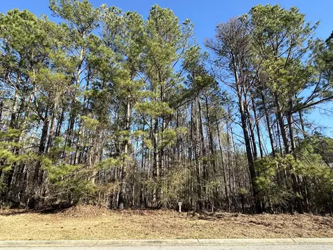 1048 Longstreet Pl, North Augusta, SC