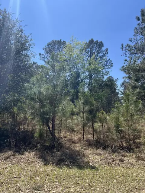 708 Kingstown Rd, Sardis, GA 30456