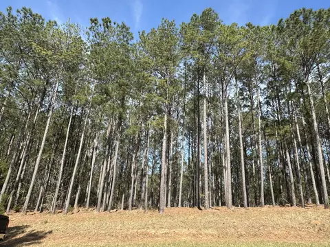 lot65 Maiden Cane Way, Lincolnton, GA 30817