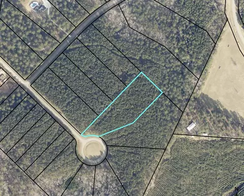1272 Sunset Cv, Tignall, GA 30668 photo 3