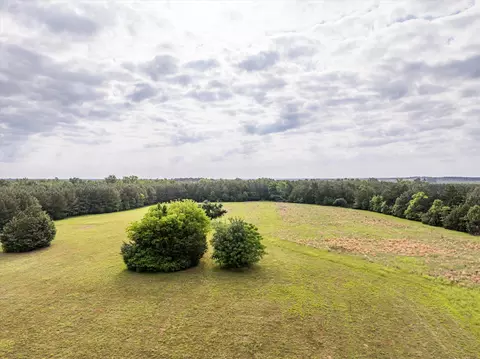 5740 Cobbham Rd, Appling, GA 30802 photo 5