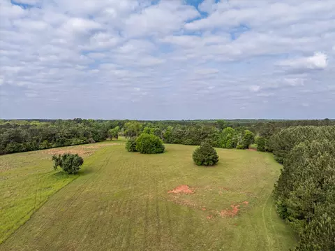5740 Cobbham Rd, Appling, GA 30802 photo 7