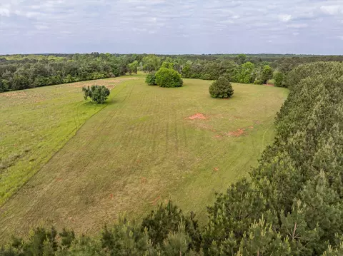 5740 Cobbham Rd, Appling, GA 30802 photo 8