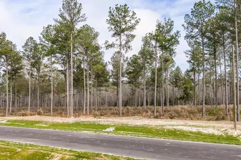 159 Beagle Chase Dr, Appling, GA 30802 photo 3