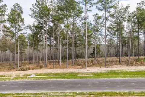159 Beagle Chase Dr, Appling, GA 30802 photo 4