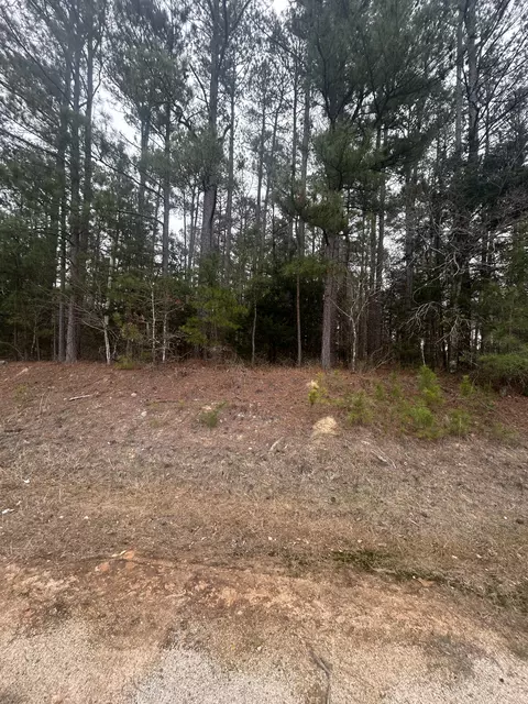 16 9 Ac Hwy 220 E, Lincolnton, GA 30817