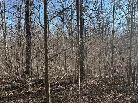 781 William Ave, Appling, GA 30802 photo 6