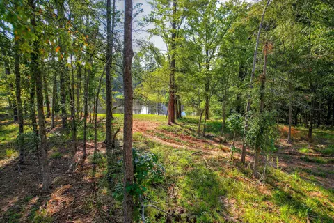 385 Canterbury Dr, Evans, GA 30809 photo 5
