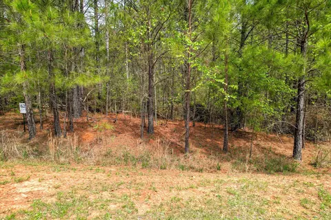 1048 Longleaf Way, Lincolnton, GA 30817