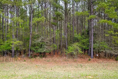1030 Clinton-williams Road Rd, Lincolnton, GA 30817