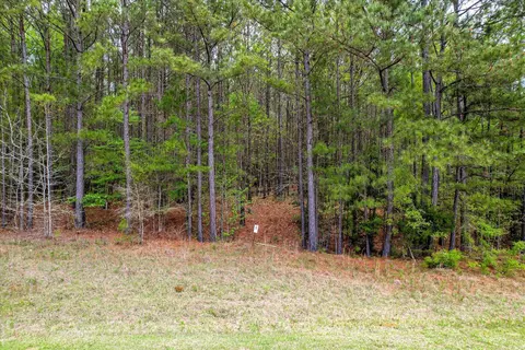 1066 Clinton-williams Rd, Lincolnton, GA 30817