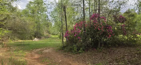 0 Mcgahee Rd, Evans, GA 30809 photo 4