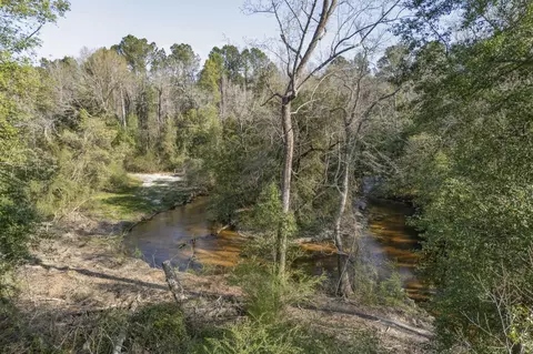 View/Area - 4002 Burning Tree Ln, Augusta, GA 30906 photo 1 of 4