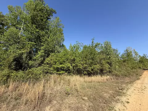 8087 Sandhill Rd, Mitchell, GA 30820 photo 2