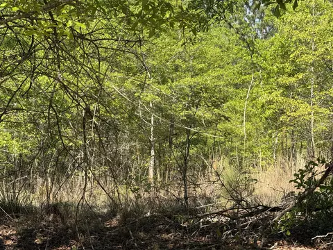 8087 Sandhill Rd, Mitchell, GA 30820 photo 5