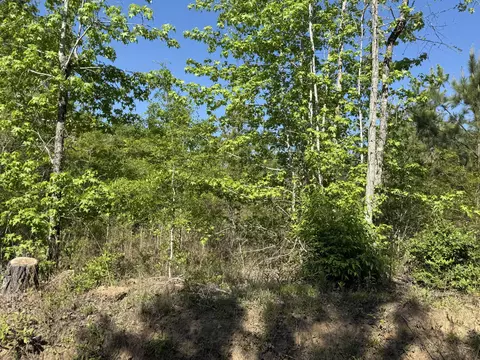 8087 Sandhill Rd, Mitchell, GA 30820 photo 3