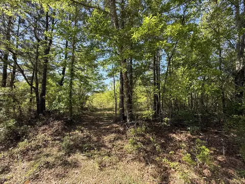 8087 Sandhill Rd, Mitchell, GA 30820 photo 8
