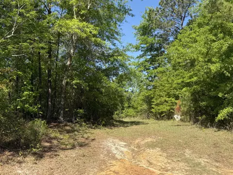 8087 Sandhill Rd, Mitchell, GA 30820 photo 7