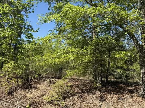 8087 Sandhill Rd, Mitchell, GA 30820 photo 6