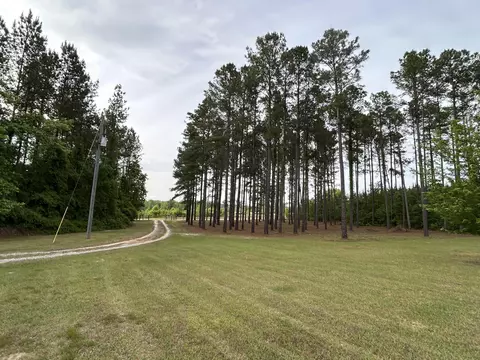 6615 Ga-102, Stapleton, GA 30823 photo 8