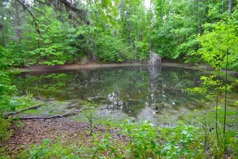 3444 Sandhill Rd, Thomson, GA 30824 photo 53