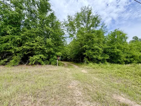 215 Gresham Rd, Keysville, GA 30816 photo 10
