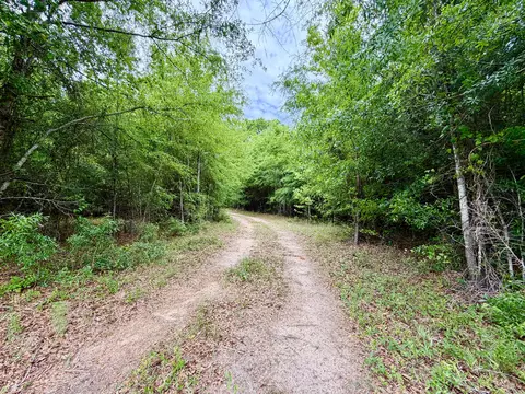 215 Gresham Rd, Keysville, GA 30816 photo 11