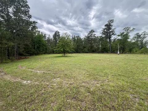 1494 Hiltonia Rd, Millen, GA 30442