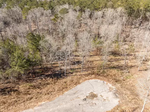 141 Gin Branch Rd, Thomson, GA 30824 photo 3