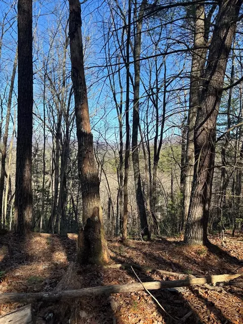 lot60 Thundering Hl, Murphy, NC 28906 photo 2