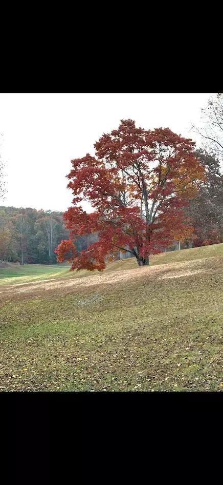 1 81 Ac Nature Valley Trail Trl, Murphy, NC 28906 photo 16