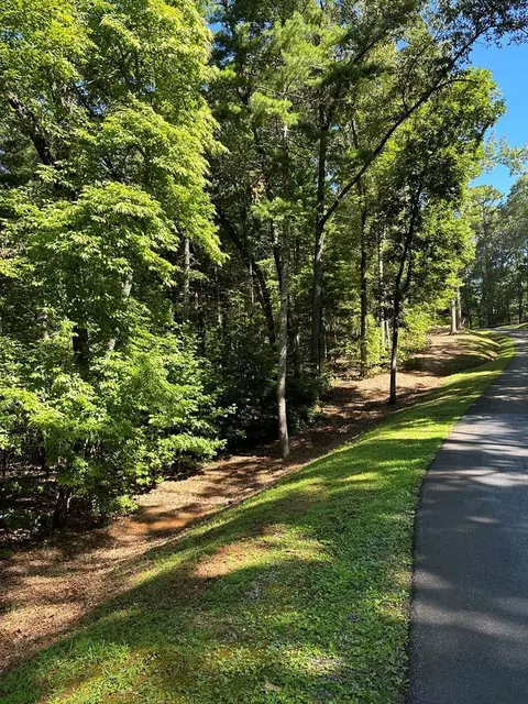 1 81 Ac Nature Valley Trail Trl, Murphy, NC 28906 photo 10