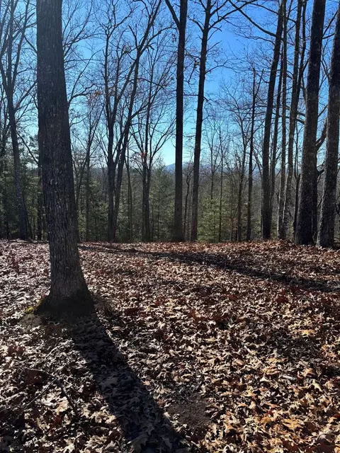 lot64 Thundering Hl, Murphy, NC 28906