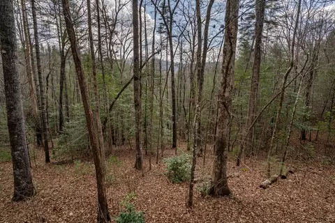 Exterior - 79 Serenity Ln, Murphy, NC 28906 photo 14 of 16