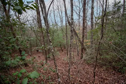 Undisclosed, Murphy, NC 28906
