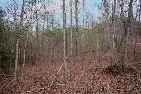 Undisclosed, Murphy, NC 28906 photo 2