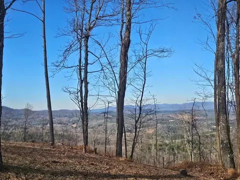 38 Trophy Buck Pt, Murphy, NC 28906 photo 3