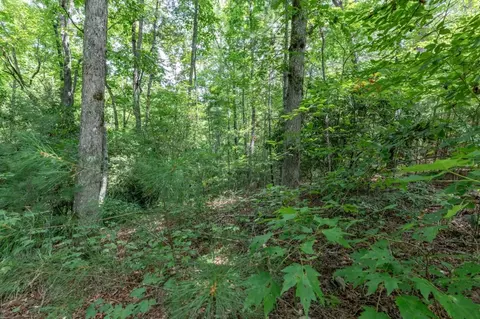 lot18 The Ridges Of Carolina, Murphy, NC 28906 photo 24