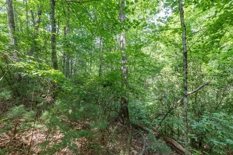 lot18 The Ridges Of Carolina, Murphy, NC 28906 photo 18