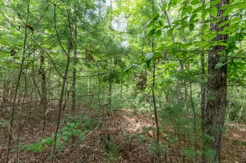 lot18 The Ridges Of Carolina, Murphy, NC 28906 photo 9