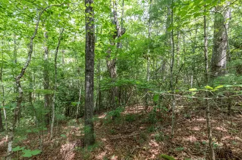 lot18 The Ridges Of Carolina, Murphy, NC 28906 photo 11
