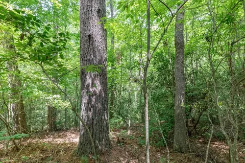 lot18 The Ridges Of Carolina, Murphy, NC 28906 photo 16