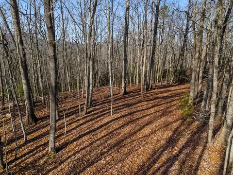 tbd W W Hls, Murphy, NC 28906 photo 9