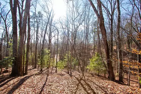 tbd W W Hls, Murphy, NC 28906 photo 4