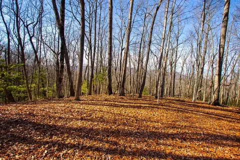 tbd W W Hls, Murphy, NC 28906 photo 12