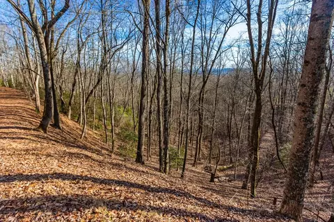 tbd W W Hls, Murphy, NC 28906 photo 7
