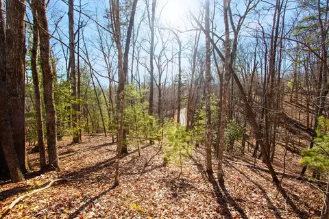 tbd W W Hls, Murphy, NC 28906 photo 5