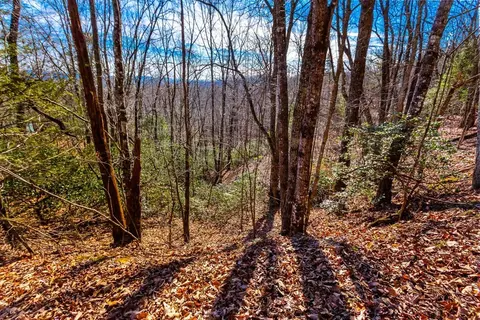 tbd W W Hls, Murphy, NC 28906 photo 6