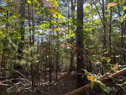 lot15 Doe Trl, Murphy, NC 28906 photo 10